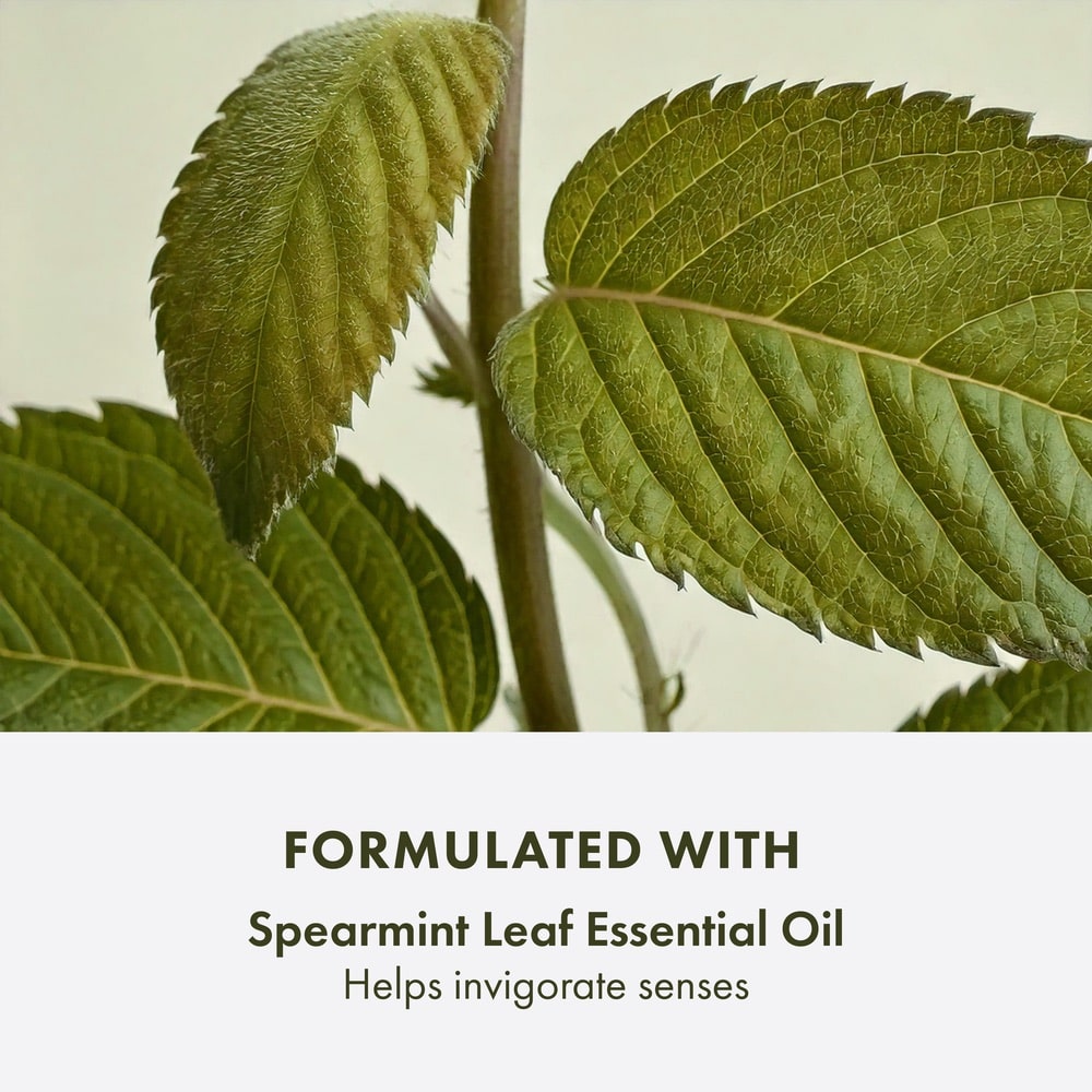 Checks and Balances™ Frothy Face Wash, 5.0 fl. oz.