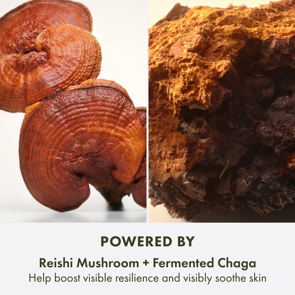 Dr. Andrew Weil for Origins™