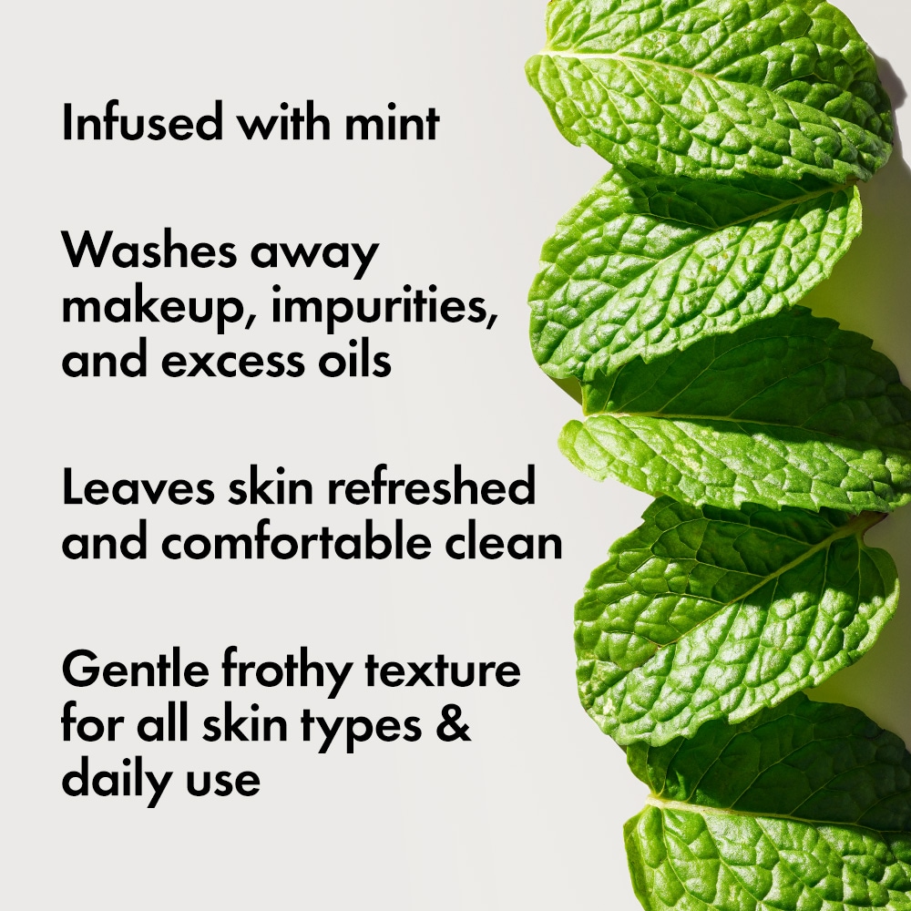 Checks and Balances™