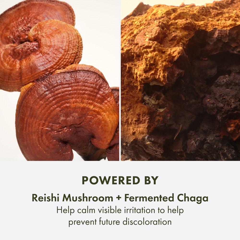 Dr. Weil For Origins™ Mega-Mushroom